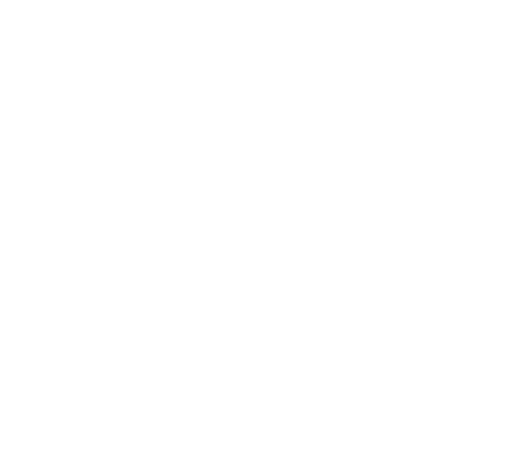 図